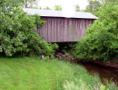 mccleery