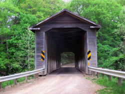 middle road