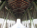 middle road