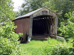 oberholtzer
