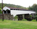 phillipi
