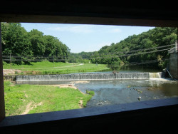 pine grove