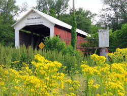 roseville