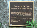 salmond