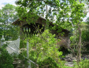 schoharie
