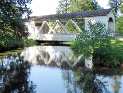 stayton