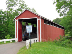 stockheughter
