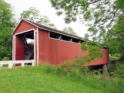 stockheughter