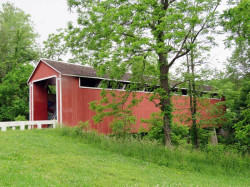 stockheughter