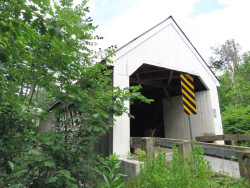 williamsville